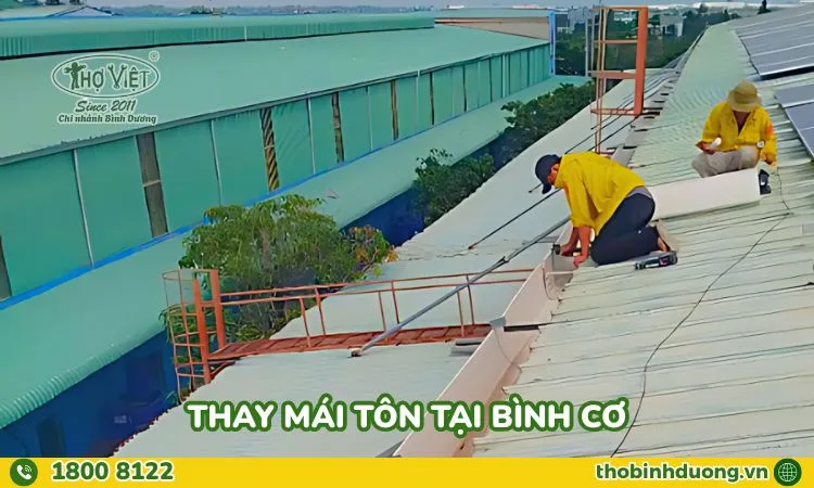 thay mái tôn tại Bình Cơ