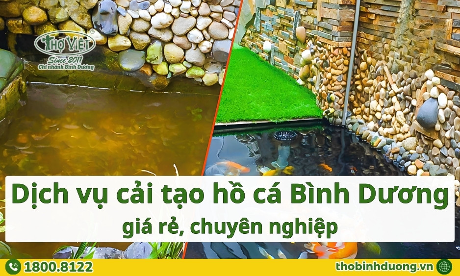 Báo giá cải tạo hồ cá Bình Dương mới nhất
