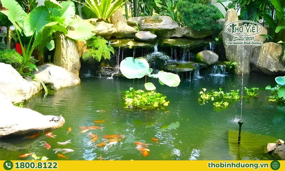 Thợ Bình Dương báo giá chi tiết trước khi cải tạo hồ cá