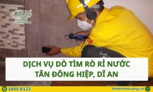 Dịch vụ dò tìm rò rỉ nước Tân Đông Hiệp, Dĩ An