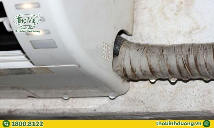 Hệ thống bị nghẹt hoặc còn ẩm sau khi vệ sinh