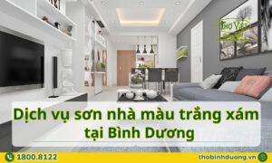 Sơn nhà màu trắng xám Bình Dương